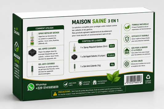Maison-Saine 3 en 1