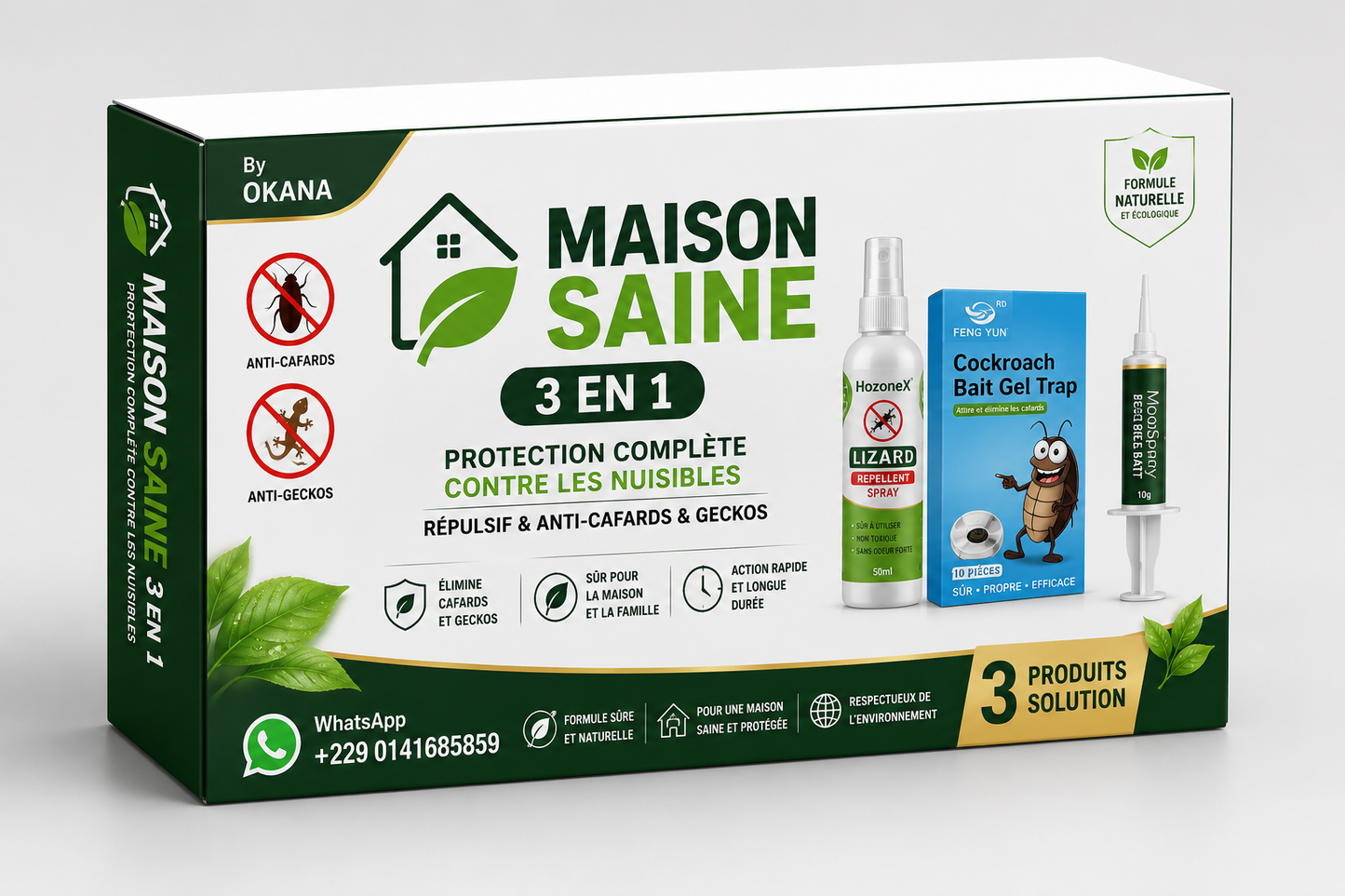 Maison-Saine 3 en 1
