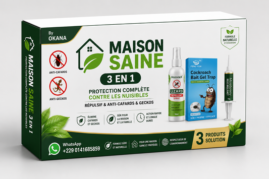 Maison-Saine 3 en 1