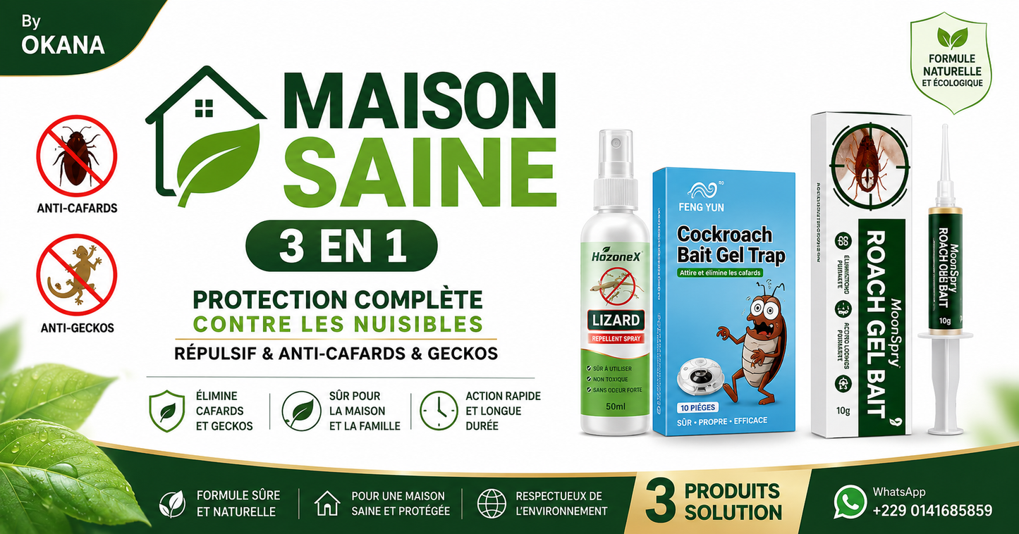 Maison-Saine 3 en 1